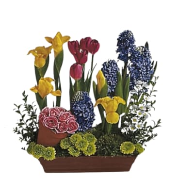 Arrangement of yellow irises, pink tulips, blue hyacinths, and pink roses in a rectangular planter