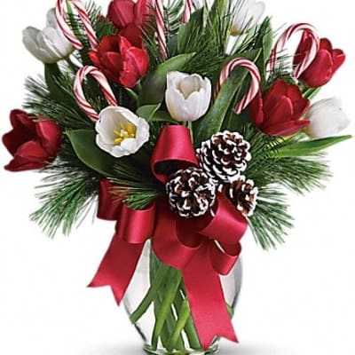 By Golly, It's Jolly