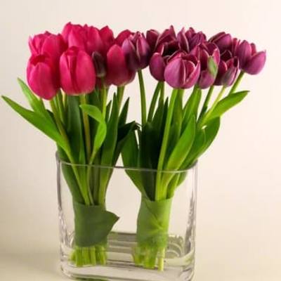 Pink and purple tulips in a clear glass vase
