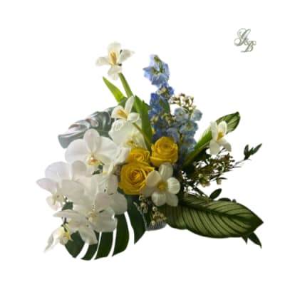 White orchids, yellow roses, and blue flowers in a mixed arrangement