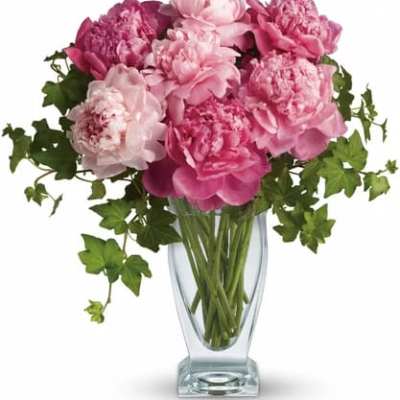 Pink peonies arranged in a clear glass vase with trailing ivy