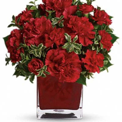 Red carnations arranged in a square glass vase