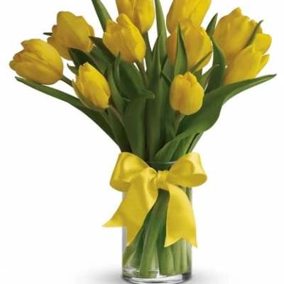 Yellow tulips arranged in a clear glass vase with a yellow ribbon