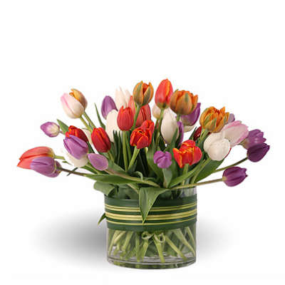 Mixed tulips in a glass vase with green ribbon wrap