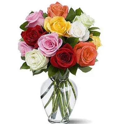 Rose Kolors