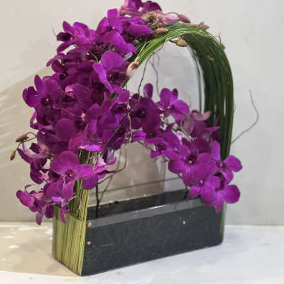 Orchid Emperor 2
