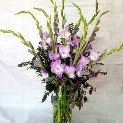 Simply Glads
