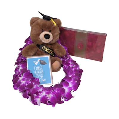 The Celebration Bundle