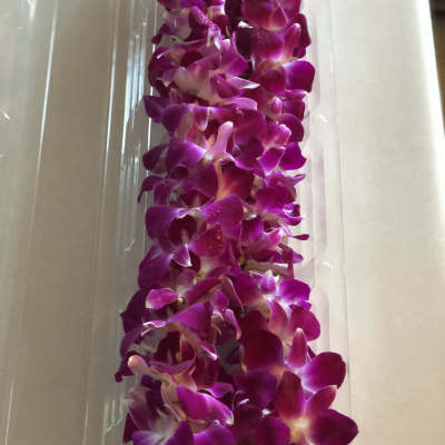 Purple orchid lei in clear plastic packaging