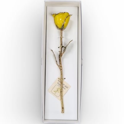 Preserved Yellow 24KT Gold Rose