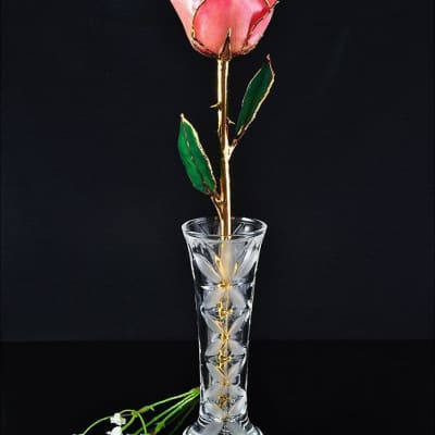 Preserved Pink 24KT Gold Rose in Display Vase