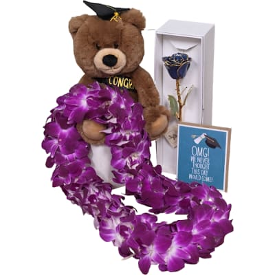 The Grad Era Bundle
