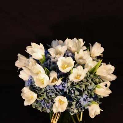 Hydrangea and Tulips