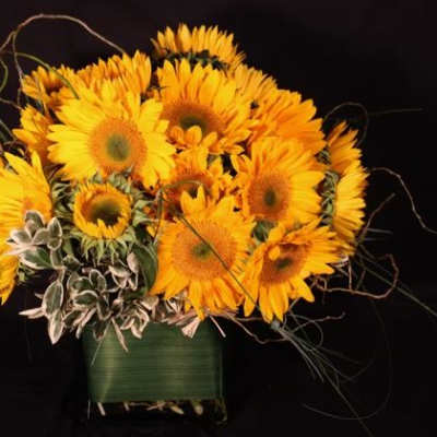 Classic Sunflowers