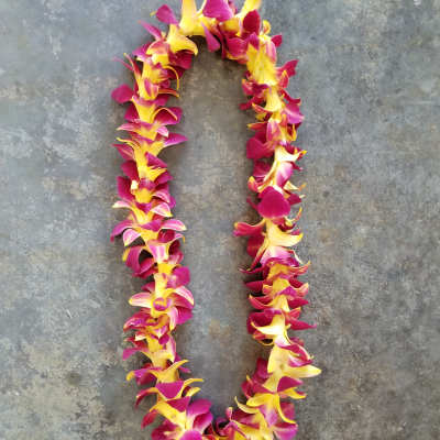 A magenta and yellow flower lei laid in a loop on a gray surface