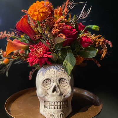 Skull me fall