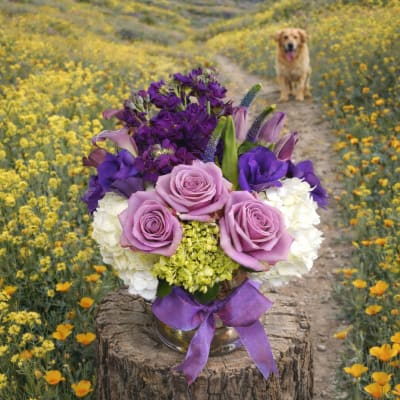 Purple and pink bouquet in a silver vase with a ribbon