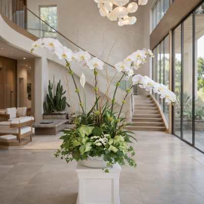 Tall white orchid arrangement in a low bowl on a pedestal