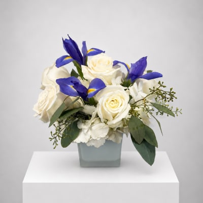 White roses and blue irises arranged in a square vase