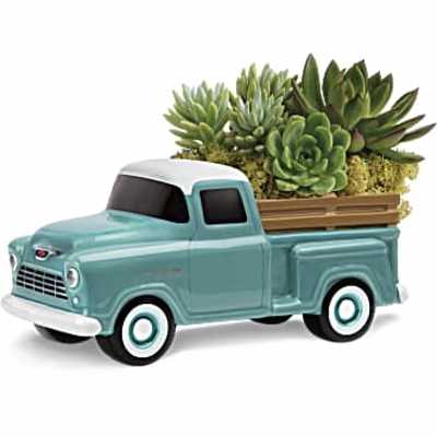 Succulent arrangement in a turquoise pickup truck planter