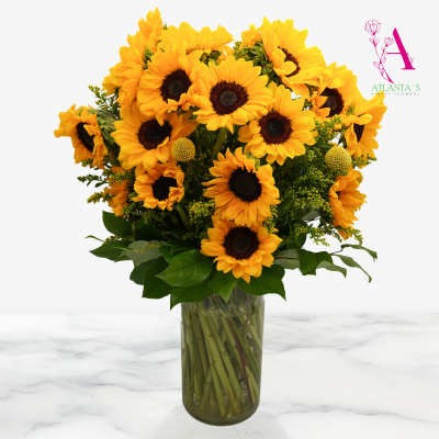 Sunflower Fields