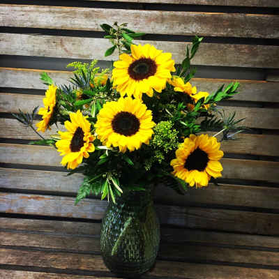 Large Sunflower special