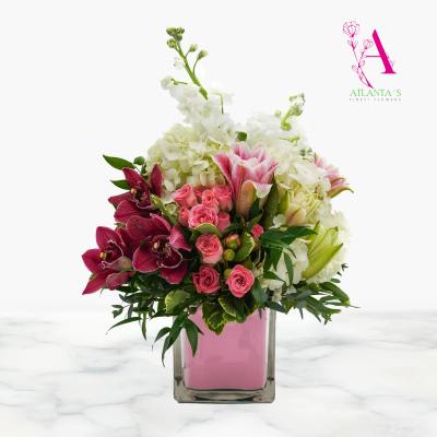 Cymbidium Orchid