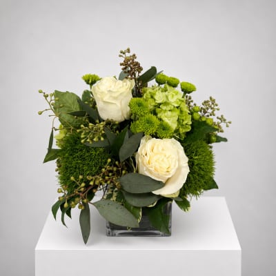 White roses and green chrysanthemums in a square glass vase