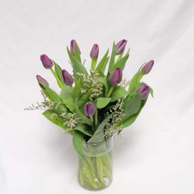 Passionate Purple Tulips