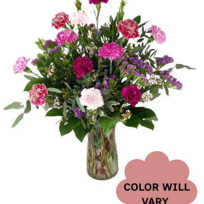 Mixed pink and purple carnations in a glass vase