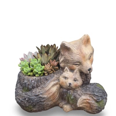 Sleeping Fox Succulent Planter
