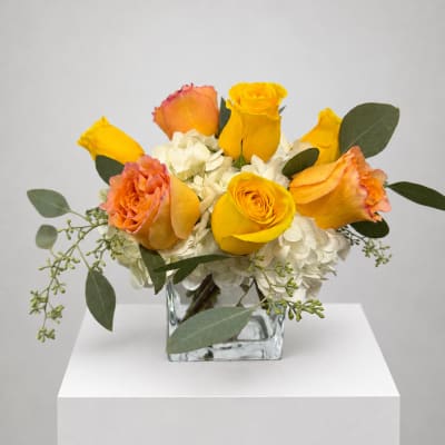 Yellow and peach roses arranged in a square glass vase