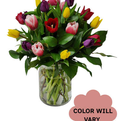 Mixed tulip bouquet in a clear glass vase with a color-will-vary note