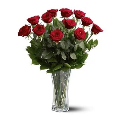 Classic Red Roses