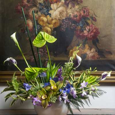 Tropical Opulence