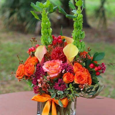 Bright orange and pink rose arrangement with yellow calla lilies and tall green bells of Ireland in a glass vase