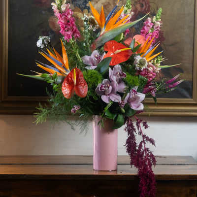 Tall tropical arrangement with orange birds of paradise, pink snapdragons and red anthuriums in a pink vase