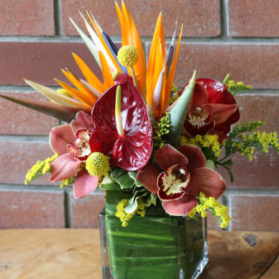 Tropical arrangement with birds of paradise, red anthurium, and orchids in a green-lined glass cube vase