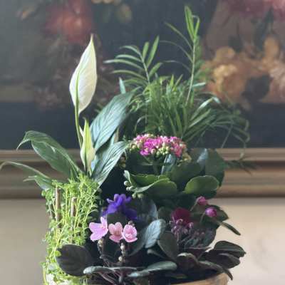 Blooming Dish Garden