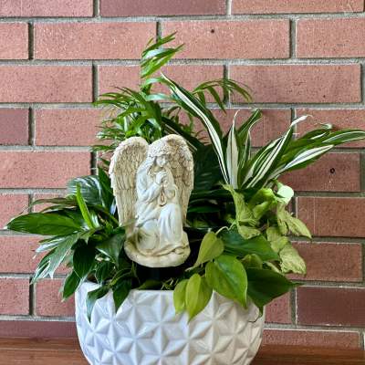 Potted green houseplants in a white ceramic planter with an angel statue