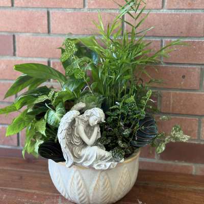 Potted green houseplants with a small angel figurine in a ceramic planter