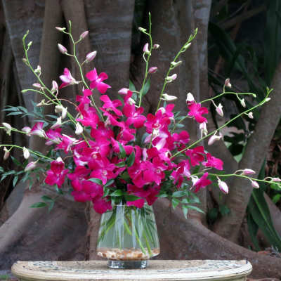 Bright pink orchid arrangement in a clear glass vase