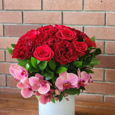 Red roses and pink orchids arranged in a white vase