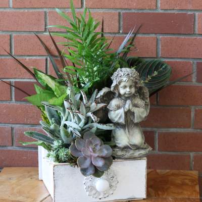 Succulent planter with an angel figurine in a white box