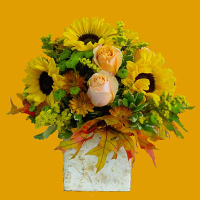 Sunflower and peach rose arrangement in a white birch-style container