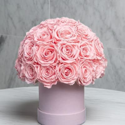 Pink Blossom Dreams