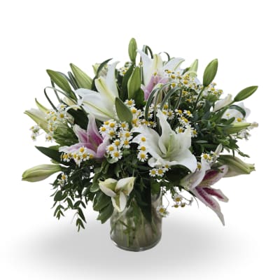 Bouquet of white and pink lilies with small white daisies in a glass vase