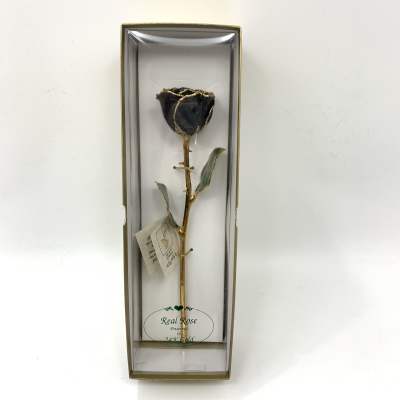 Single preserved rose in a clear gift box