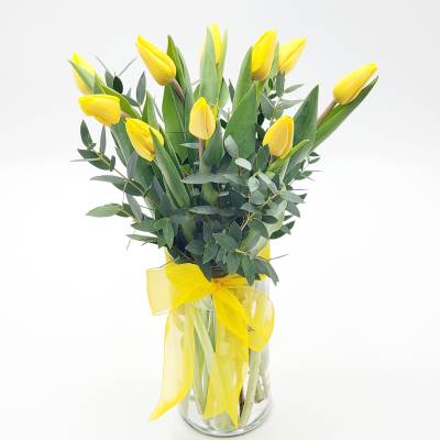 Sunny Yellow Tulips