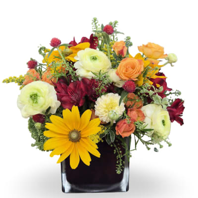 Mixed bouquet in a black square vase with yellow, orange, white, and burgundy flowers